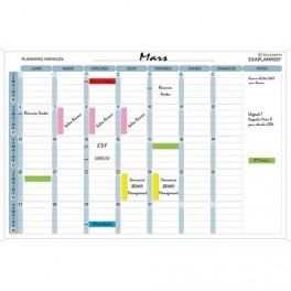 EXACOMPTA PLANNING MENSUELL MAGNÉTIQUE 90X59CM VENDU EN KIT AVEC DE NOMBREUX ACCESSOIRES 57150E