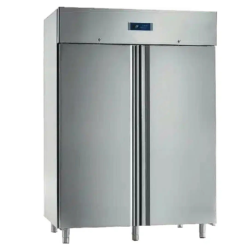 Armoire de maturation pour viande 2 portes capacité grille GN 2/1 (Type de porte: Pleine Réf - VIANDE2PG-12)_0