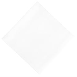 Serviettes en Papier Déjeuner Ouate Blanches Compostables 400 mm - Lot de 750 - Duni - 0685071819654_0