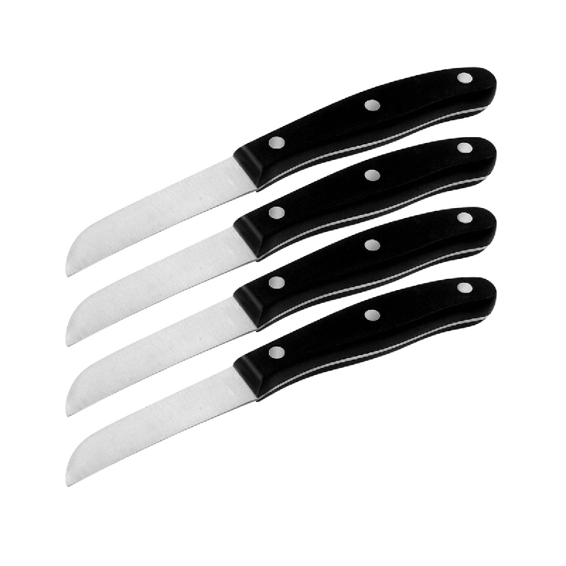 Ensemble de 4 Couteaux à légumes 20 cm Nirosta Fit - 3176239932638_0