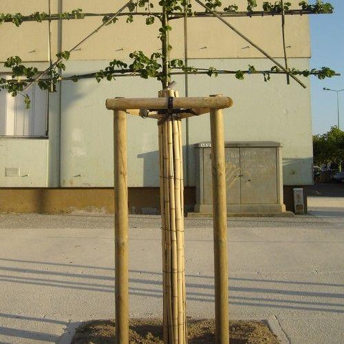 Natte de bambou fendus 2x5m*_0