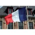 Pavillons France - 100% polyester 115g/m² - dimensions 300x450 cm avec sangles et anneaux_0