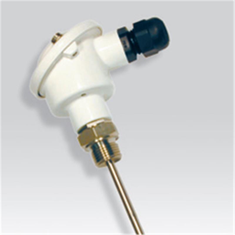 Sonde PT100 à visser - tête de raccordement type B - BOSI10001-8 - acier inox 316L - longueur utile 1000 mm - température -50 à +450°C_0