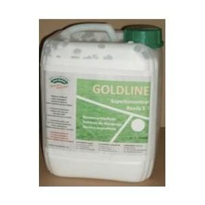 3599090 - peinture de traçage goldline - coseec_0