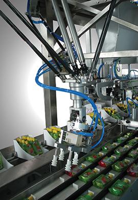 Étuyeuse Top Load - Conception iXAPACK - Formation, Remplissage et Fermeture d'Étuis en Carton_0