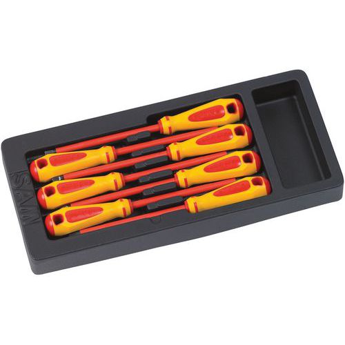 MODULE ABS DE 6 TOURNEVIS ISOLÉS 1000V - SAM