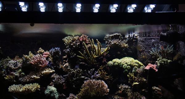 Contrôleur et logiciel Ether - Paramétrable pour aquariums et cultures horticoles_0