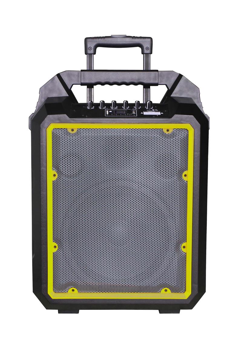 Enceinte active autonome bluetooth 2 micros UHF 100 Watts - RUNNER10Y_0