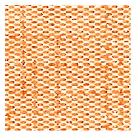 SERVIETTE DRY COTTON 55 G/M² 40X40 CM AIRLAID MANDARINE (VENDU PAR 700)