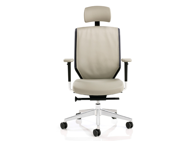 Fauteuil ergonomique waldo en cuir_0