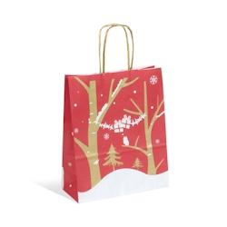 Sac Fenris Junior kraft blanc poignées torsadées 18+8x22cm par 250 - 3700481692547_0
