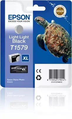 Epson Turtle Cartouche 