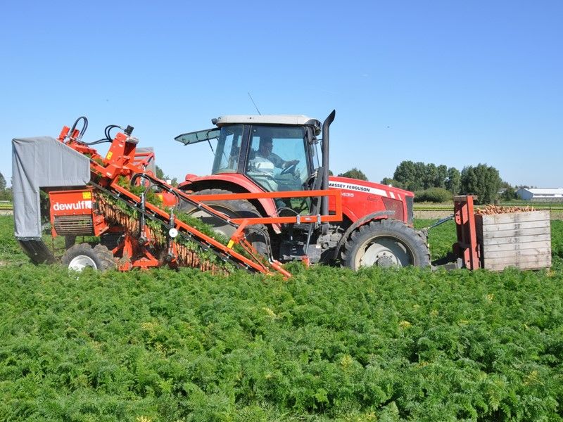 Arracheuse par préhension P3C Farmer - Dewulf BV - mono-rang, remplisseur de pallox compact, puissance minimale 60 HP_0