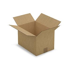 CAISSE CARTON BRUNE SIMPLE CANNELURE RAJA 31X22X20 CM