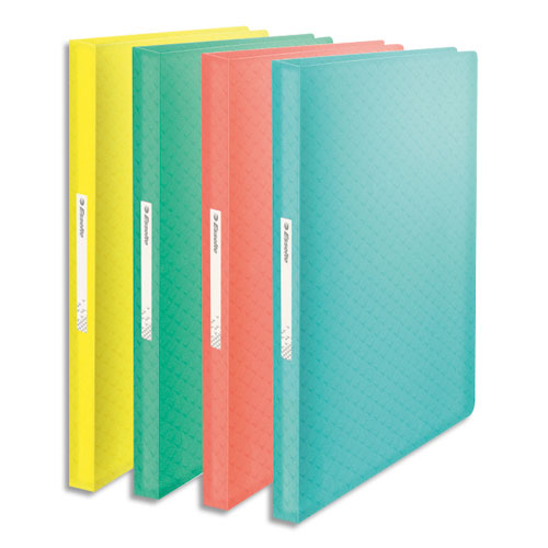 PROTEGE-DOCUMENTS ESSELTE COLOUR'ICE - POLYPROPYLENE 5/10EME - 80 POCHETTES - 160 VUES - COLORIS ASSORTIS - LOT DE 20
