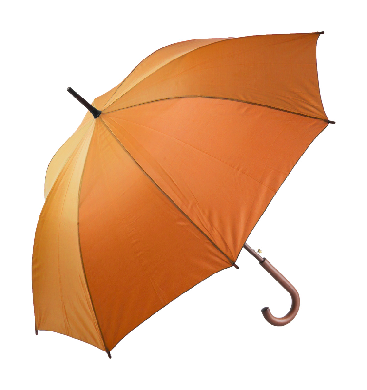 Parapluie automatique_0