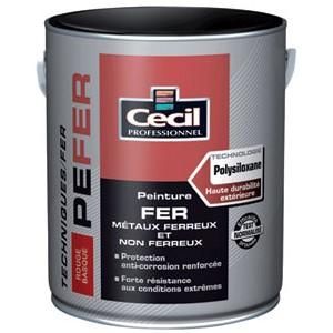 PEINTURE FINITION PE FER CECIL PROFESSIONNEL