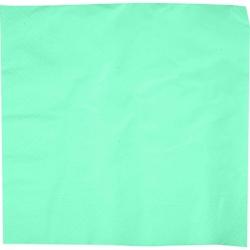 Firplast Serviette 38X38 2 plis ouate pastel aqua X2400(24X100) - blanc 13353890031819_0