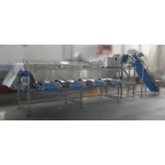 1847 - calibreuse alimentaire Tecnoceam - production 2000-5000kg/heure - 4 calibres + hors calibre_1