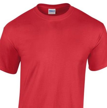 T-shirt homme Heavy Weight-T - Manches courtes à personnaliser avec logo ou image, 100% coton, plusieurs tailles_0