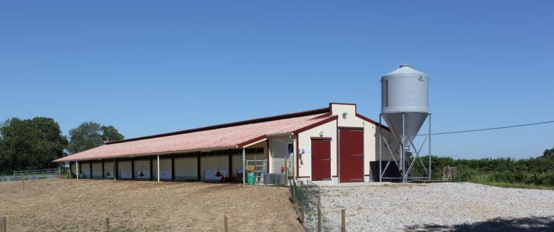 Bâtiment d'élevage de poulet