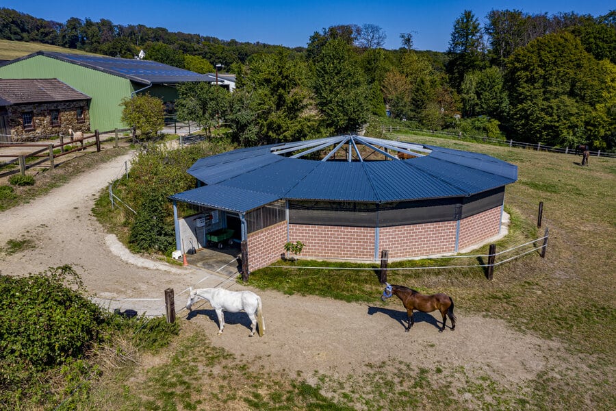 Marcheur pour 4 à 12 chevaux avec piste couverte - Piste de plus de 5,50m - Jünck_0