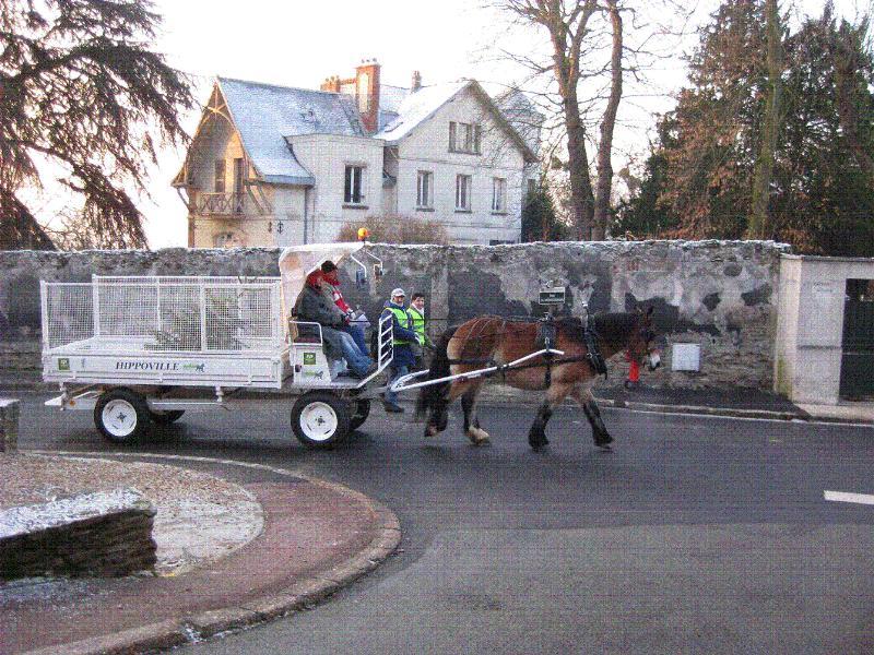 Service Astra Cheval - Gestion des déchets, transport et événementiel avec chevaux de traits régionaux_0