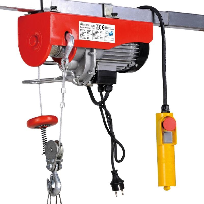 PALAN TREUIL ÉLECTRIQUE PRO AVEC TÉLÉCOMMANDE 500 W 100/200 KG OUTILS  ATELIER GARAGE 3402133