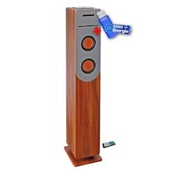 Tour de son finition Bois avec lecteur CD, Bluetooth, FM et USB, 100W + télécommande+clé USB 32Go - 3666638045133_0