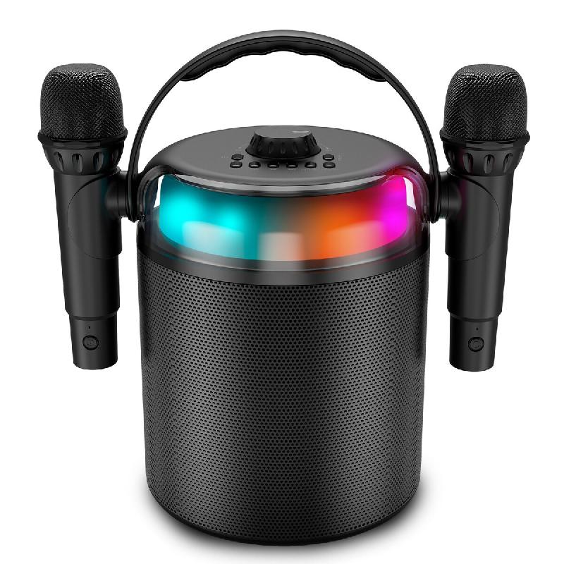 Enceinte Autonome Ledwood PLAYKARAOKE 120W, LED RVB, Bluetooth USB, 2 Micros sans fil, Effets Vocaux, Compatible TV Connectée - 3666630008051_0
