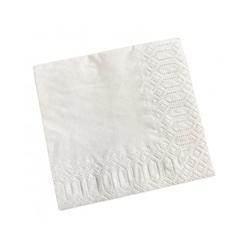Serviette ouate 2 plis 20x20cm blanche par 6000 - blanc papier 8424433020251_0