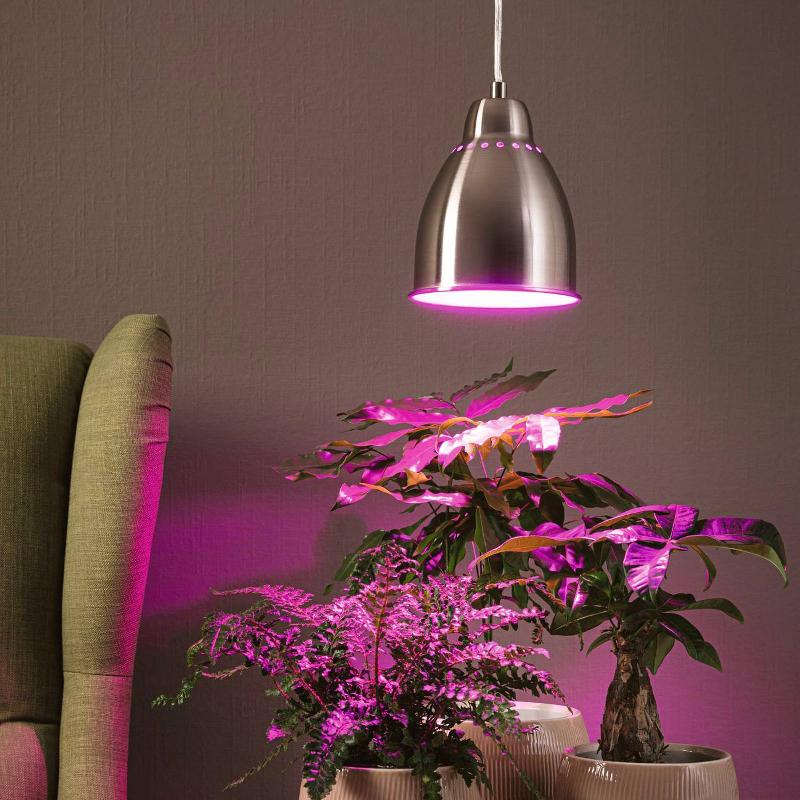 PAULMANN NEORDIC HILLA SUSPENSION, FER BROSSÉ