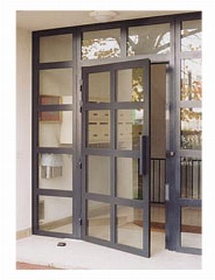 Porte sur paumelle - profils gammiste acier base 50 ou 40 - monobloc ou éléments à assembler_0