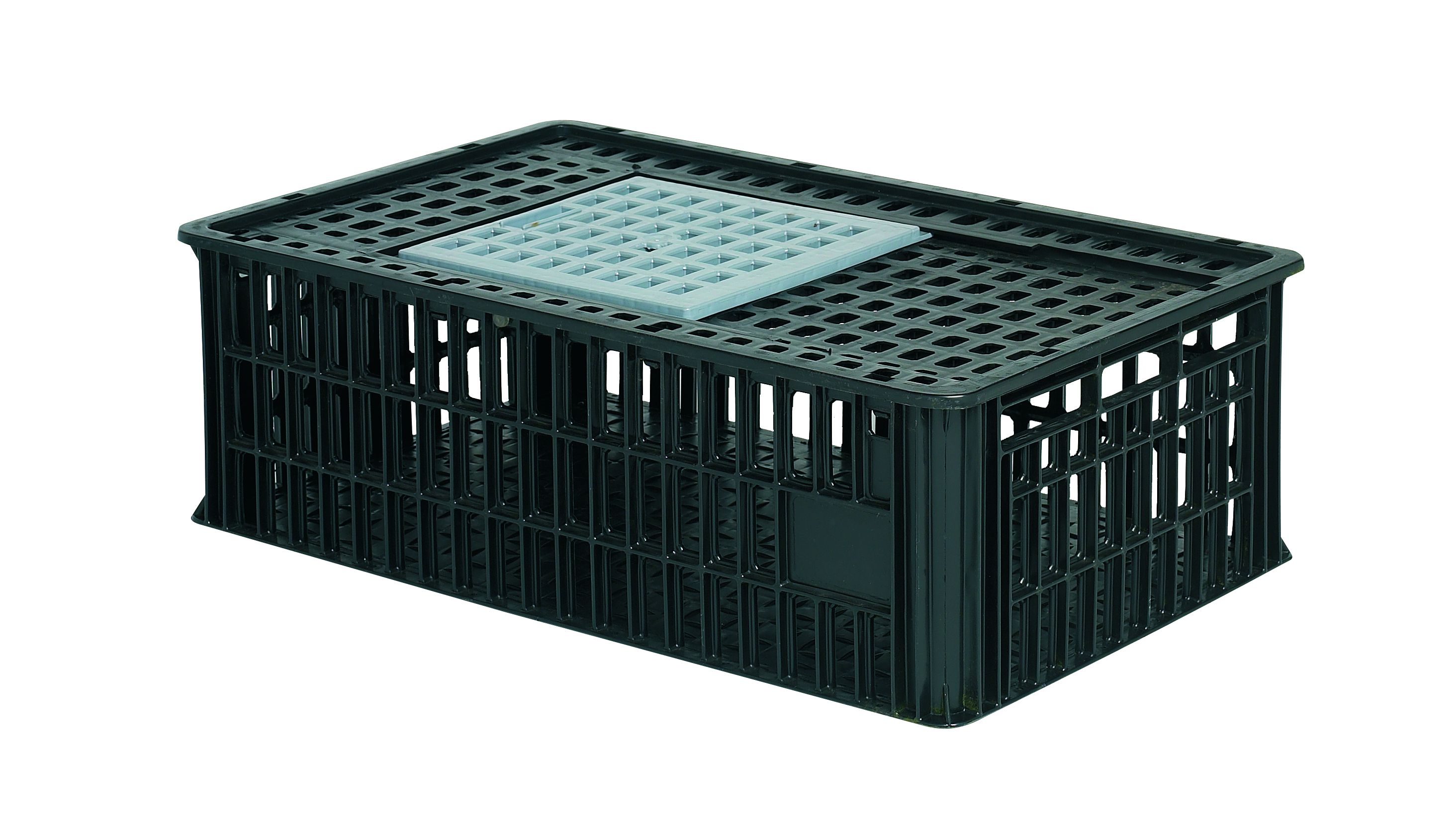 Cage à poule 800 x 600 x 250 mm_0