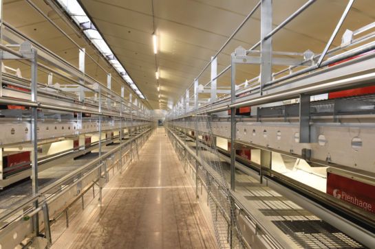 Sol, volières - bâtiment avicole - code 2 - Serupa SAS - 20 000 à 80 000 poules - élevage au sol ou en volières 1 à 3 niveaux_0