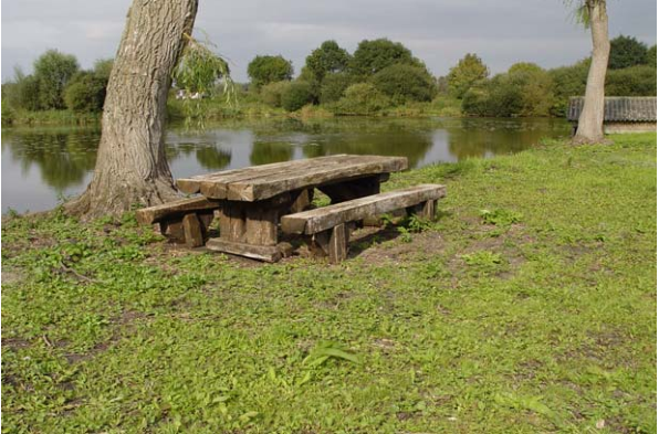 Table de pique-nique champêtre / bois_0