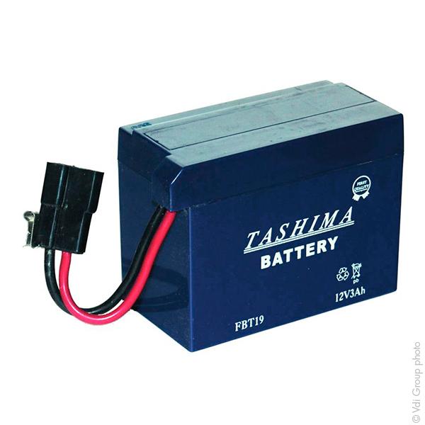 BATTERIE MOTOCULTURE FBT19 12V 3AH_0