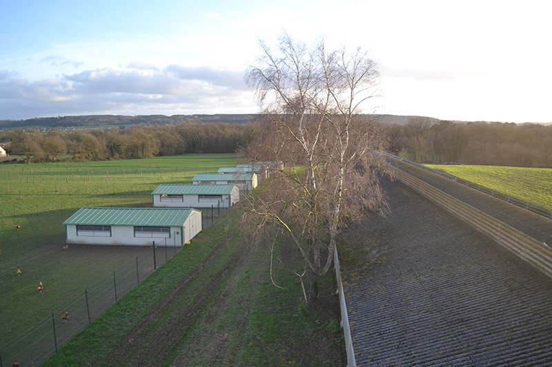 Cabane avicole deplaçable 60m2_0