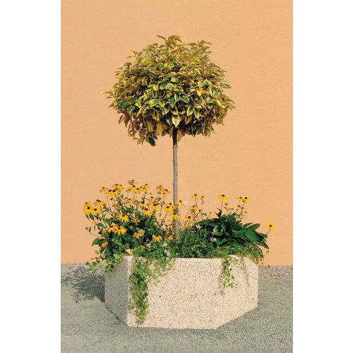 JARDINIÈRE BYBLOS HEXAGONALE 1500X1120X550 MM BEIGE
