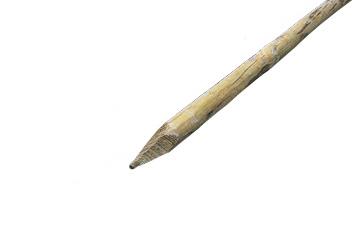 Piquet bois écorcé - Rond - Bois brut - 5x5x200 cm - Traitement autoclave - Garantie 3 ans_0