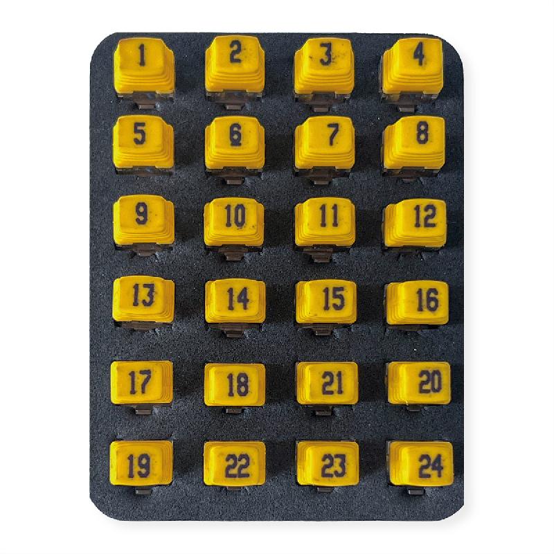 SOFTING Port Identifier Set (#1 - #24) , 24x RJ45_0