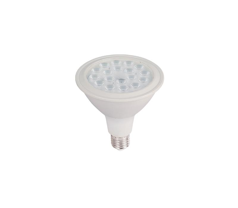 Ampoule LED 100w