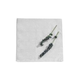 FHC evolupack FHC - 4 000Pcs - Serviette ouate blanche 2 plis 300x300mm - blanc papier 210S30302P1_0