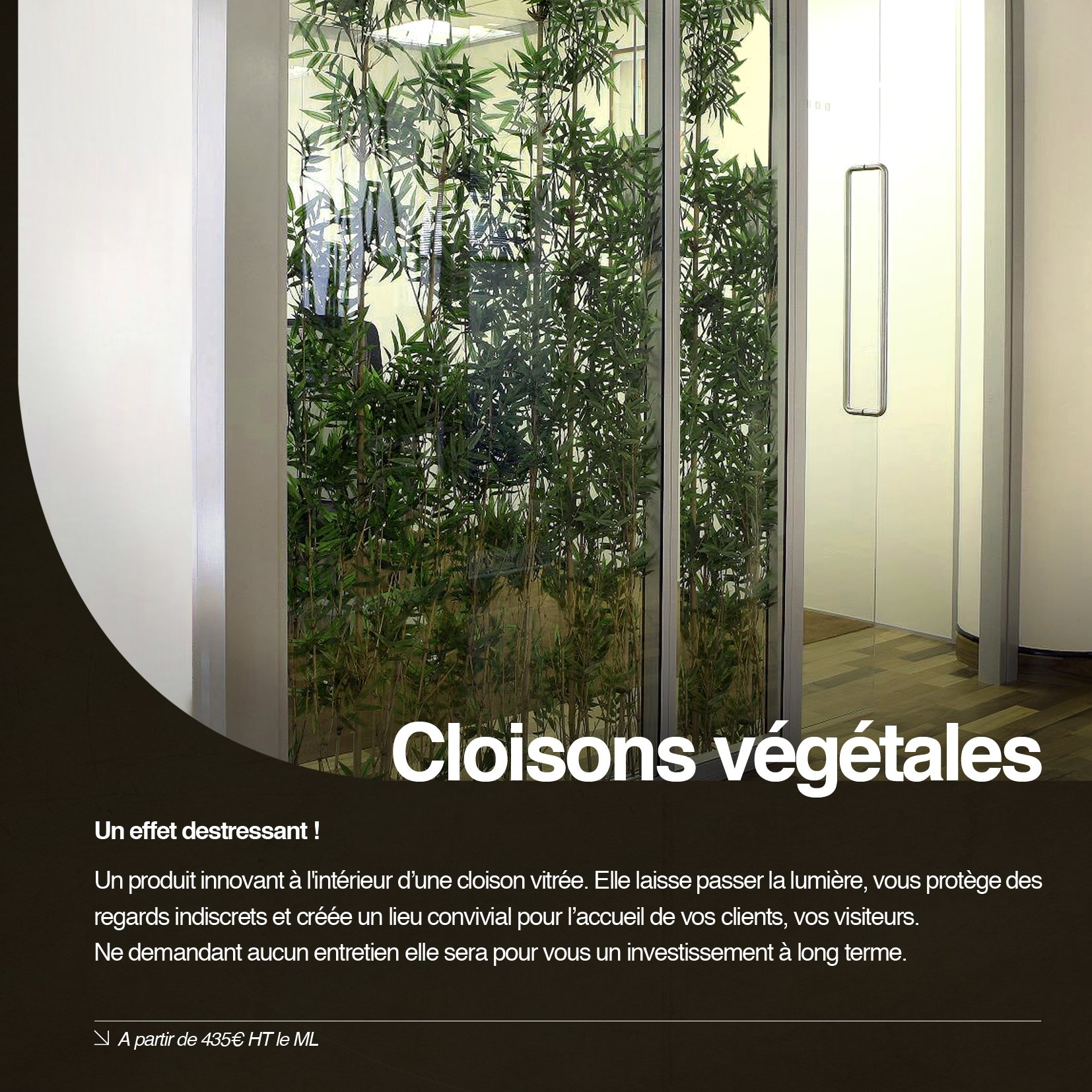 Cloison bambou_0
