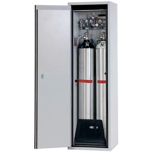 ARMOIRE DE SÉCURITÉ POUR STOCKAGE 2 BOUTEILLES DE GAZ 50L - ASECOS