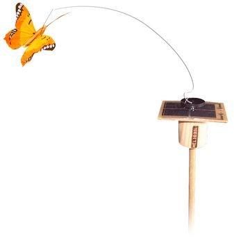 PAPILLON SOLAIRE