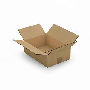 CAISSE CARTON BRUNE DOUBLE CANNELURE RAJA 31X22X10 CM