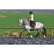 Clôture de carrière horse stop Optima - 1 demi-lice, 1m20 - Autoclave classe IV - Ref. C1180-1_0