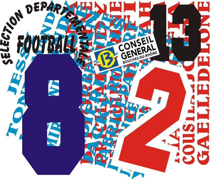 Impression sérigraphie - NPM Pollina - Flex thermocollant pour maillots, logos et numéros personnalisés_0