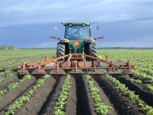 Zf - butteuse agricole - struikholland - possède un boulon de sécurité_0